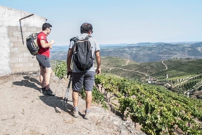Pinhão Hiking Tour - Meeting at the train station: getting oriented fast