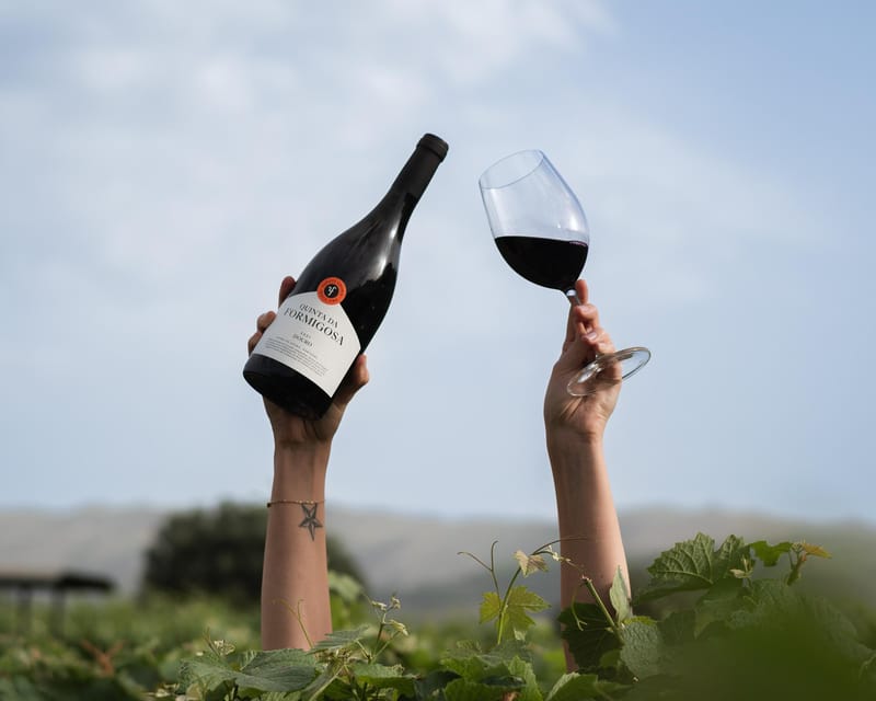 Pinhão: Quinta da Formigosa Vineyard Tour and Wine Tasting - Key points I’d bookmark before you go