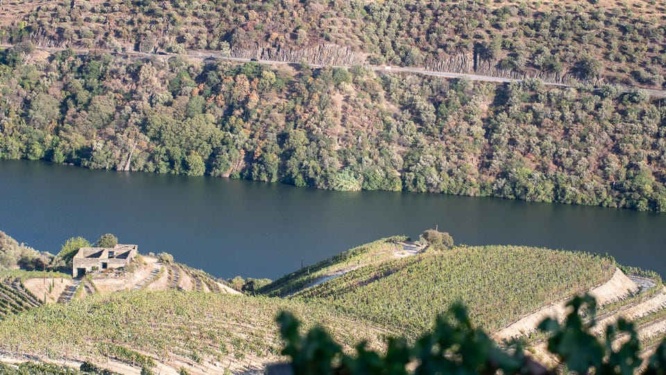 Pinhão: Quinta da Formigosa Vineyard Tour and Wine Tasting - Guides Make the Difference: When Ruben, Fernando, or Inez Shares the Story