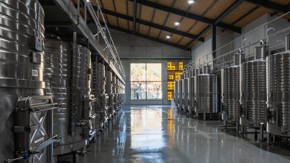 Pinhão: Quinta da Formigosa Vineyard Tour and Wine Tasting - Who Should Book This Douro Wine Tour (and Who Might Skip It)