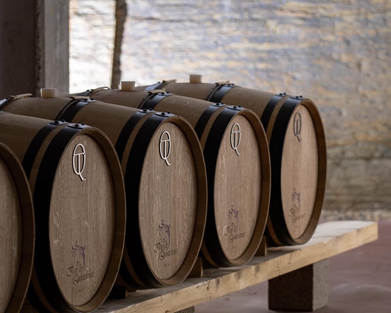 Pinhão: Quinta da Formigosa Vineyard Tour and Wine Tasting - Should You Book Quinta da Formigosa?