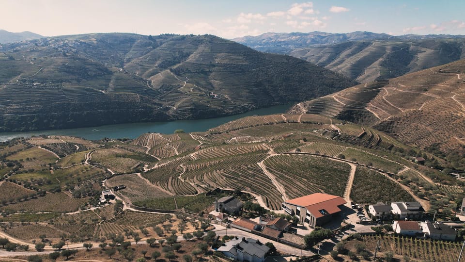 Pinhão: Quinta da Formigosa Vineyard Tour and Wine Tasting - FAQ