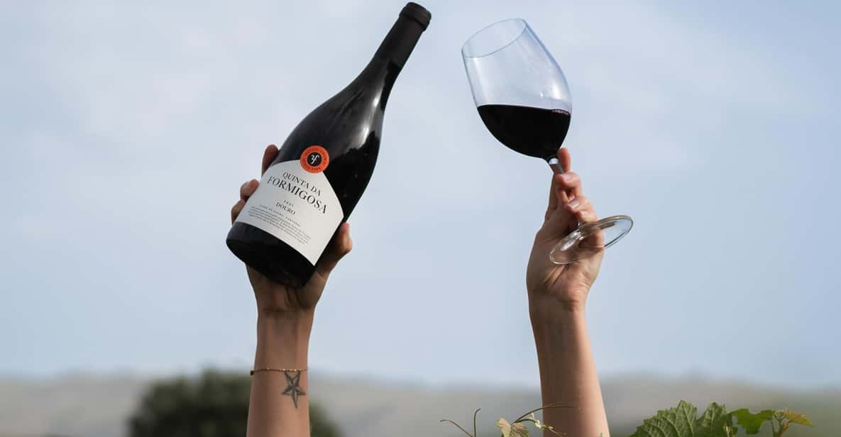 Pinhão: Quinta da Formigosa Vineyard Tour and Wine Tasting - Your 1.5 Hours: Vineyard Walk, Winery Stop, and a 3-Wine Tasting