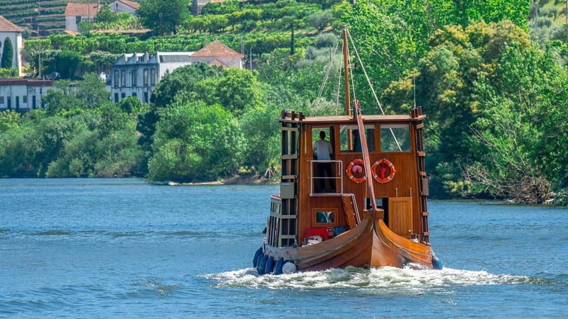 Pinhão: Rabelo Boat Cruise with a Port Tasting at a Winery - Why the Douro’s terraced vineyards look different from the river