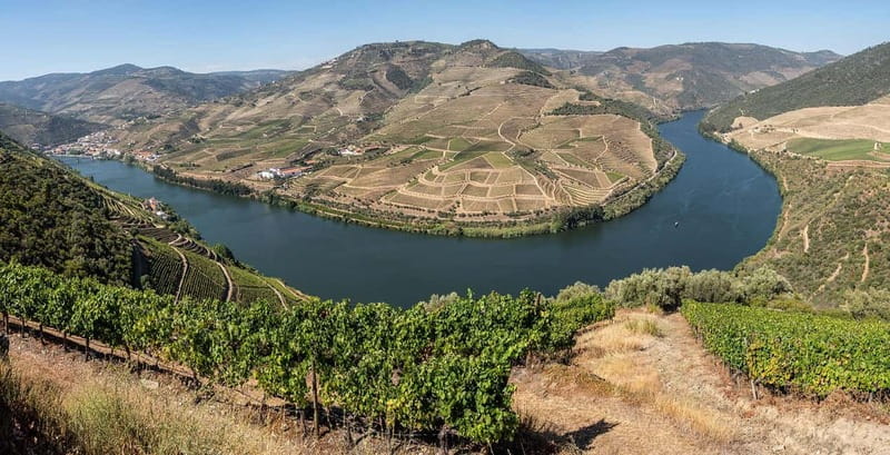 Pinhão: Rabelo Boat Cruise with a Port Tasting at a Winery - Price and value: is $51 a fair deal for this Douro combo?