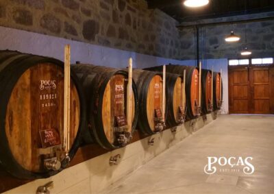 Poças: Guided Tour & Port Wine Tasting with Pastel de Nata - The full 90 minutes: what happens when