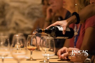 Poças Guided Visit and Wine Tasting of 2 DOC Douro & 1 Port Wine - Meeting point reality check: how not to waste your visit time