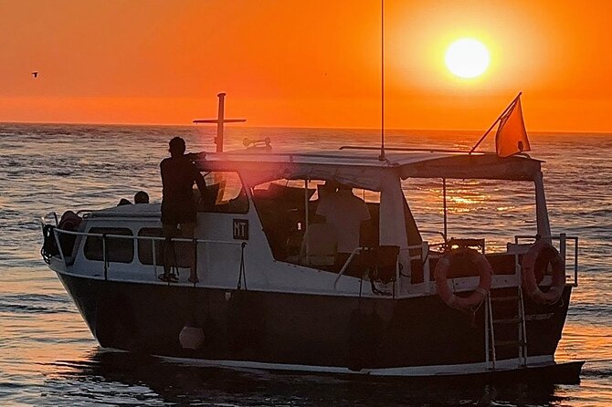 Port : private cruiser 6 Bridges and port wine tasting/Sunset - Who this is best for (and who might want a different plan)