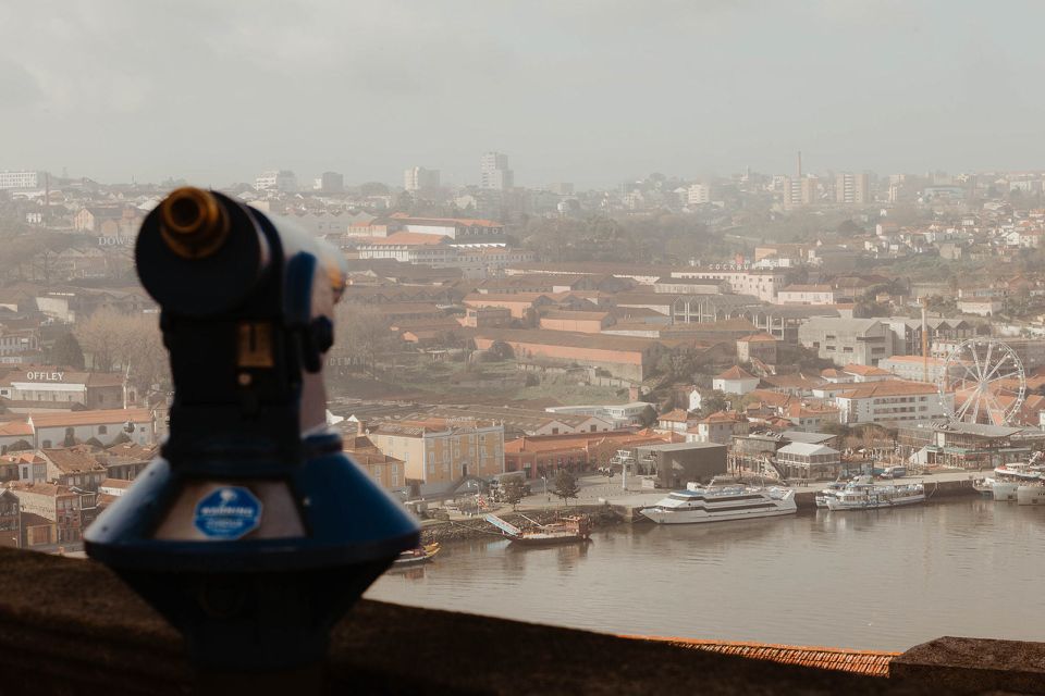 Porto: 3-Hour Guided Walking Tour - Port Wine Cellars Pass-By: Seeing the Industry Without Overcommitting