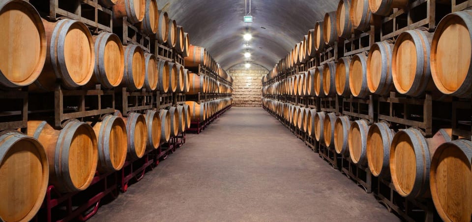 Porto: 6 Bridges Boat Cruise with Port Wine Cellar & Tasting - Two port wine tastings: how to get more than just a sip