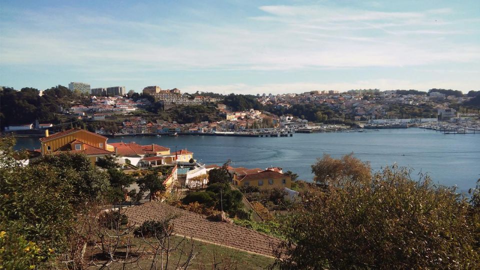 Porto: a ride along the coast in a fun eco-friendly car - Electric car time: easy cruising through tight Porto parts
