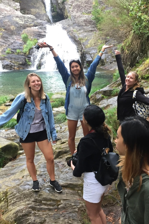 Porto and North coast Exclusive & Secret Waterfalls in 4x4 - Portuguese Food and Wine: Vinho Verde, Tapas, and How to Budget the Meal