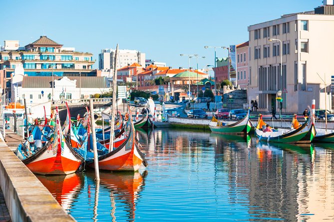 Porto: Aveiro Tour Including Moliceiro Cruise - The Bus Ride to Aveiro: Air-Conditioning, No Bathroom, and Timing Wins