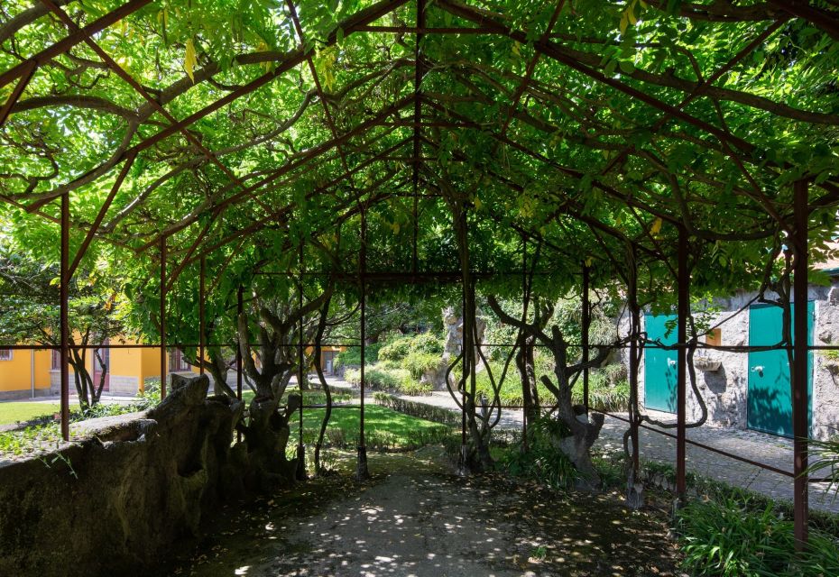 Porto: Casa São Roque Direct Entry Ticket - Inside the house: contemporary art in rooms kept at 21°C