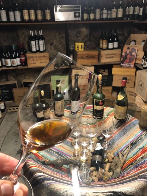 Porto: Cheese and Port Wine Tasting in a Unique Place - A mercearia tasting that feels like Porto’s real food world