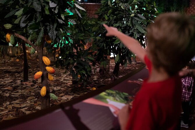 Porto: Chocolate Museum - Chocolate’s Delicious Journey + Tasting - Inside the Chocolate Experience by 20|20: your self-guided route