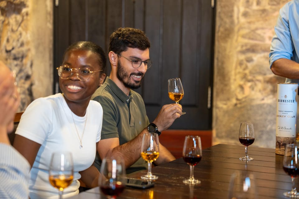 Porto City Full Day Minibus Tour, Wine Tasting & Six Brigdes - Historic center on foot: Avenida dos Aliados to São Bento tiles