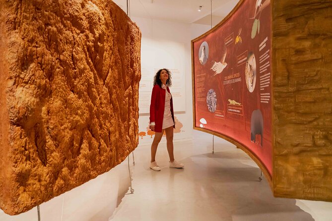 Porto: Cork Museum - Interactive and Family Friendly Museum - The Self-Guided Audio Tour: What You’ll Hear and See