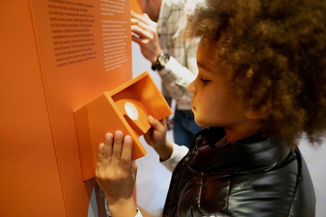 Porto: Cork Museum - Interactive and Family Friendly Museum - Cork in Real Life: Wine Stoppers and Beyond
