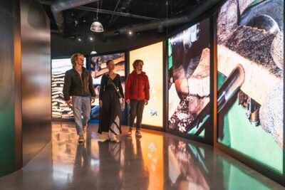 Porto: Cork Museum - Interactive and Family Friendly Museum - Cork Oak Replica and the Ecosystem Moment