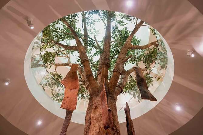 Porto: Cork Museum - Interactive and Family Friendly Museum - Staff Help, Gift Shop Finds, and Practical Extras