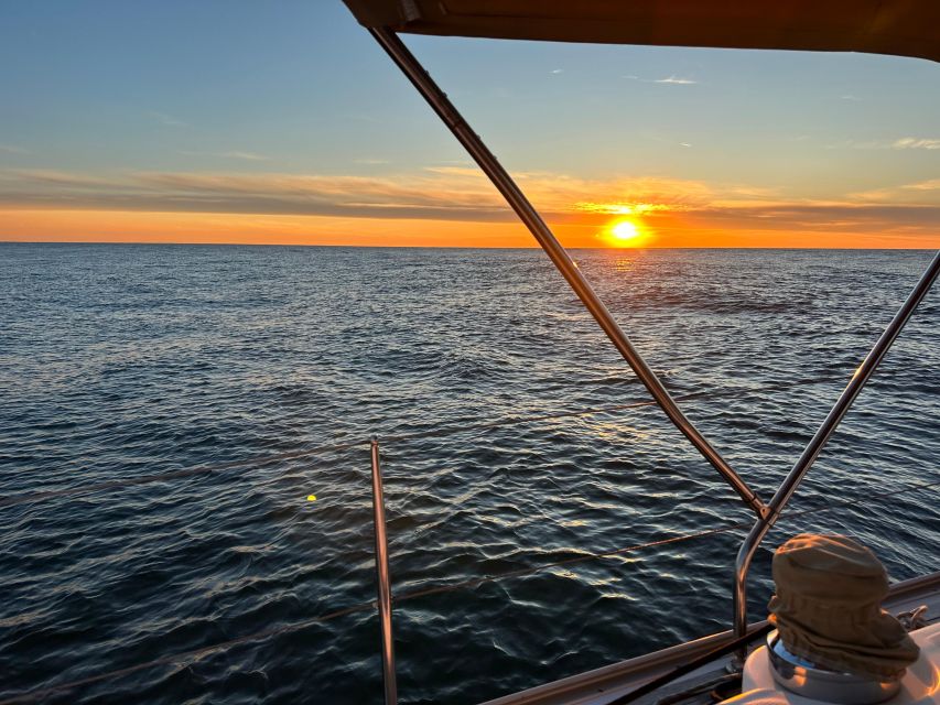 Porto: Douro river Boat tour with wine tasting (small group) - Touching the waves: sea time, space, and possible dolphin sightings