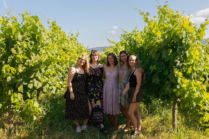 Porto: Douro Valley, 2 Wine Regions, Sommelier, Boat Trip & Lunch - Small van, max 8: why the group size feels like a feature