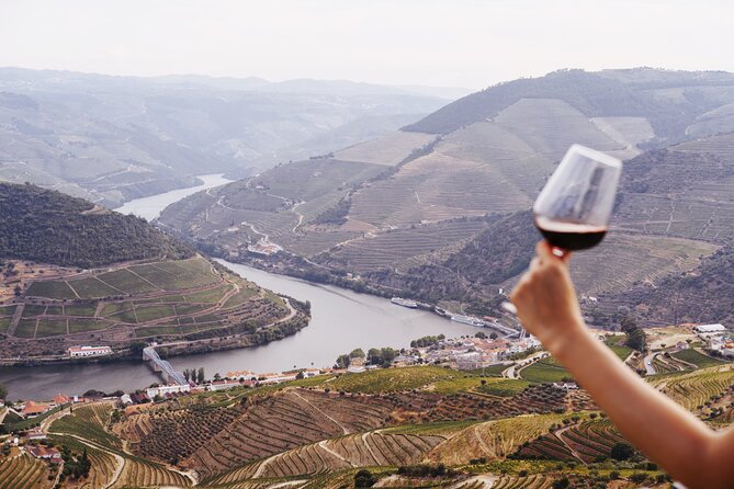 Porto: Douro Valley, 2 Wine Regions, Sommelier, Boat Trip & Lunch - Pinhão lunch: DOC Douro wines with fish, meat, vegetarian, and vegan options
