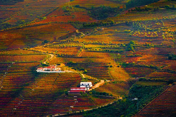 Porto: Douro Valley, 2 Wine Regions, Sommelier, Boat Trip & Lunch - Miradouro Torguiano: a 10-minute photo pause before the second winery