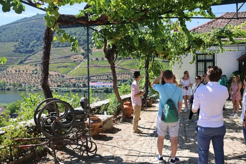 Porto: DOURO VALLEY and AMARANTE City Half-day Tour - Key things I’d plan around