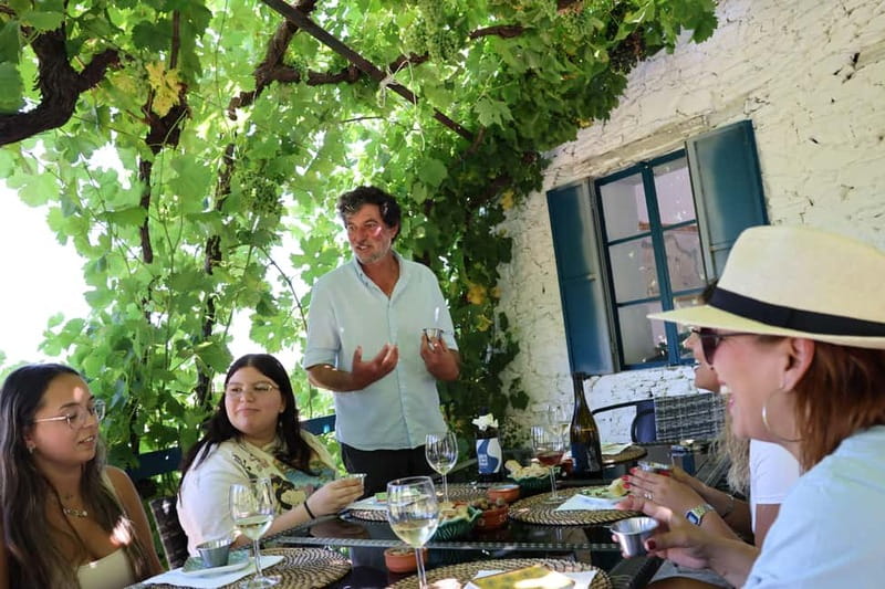 Porto: DOURO VALLEY and AMARANTE City Half-day Tour - FAQ