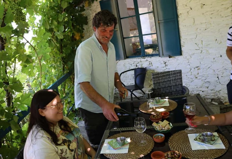 Porto: DOURO VALLEY and AMARANTE City Half-day Tour - Porto to the Douro in 6 Hours: What You Gain (and What You Don’t)