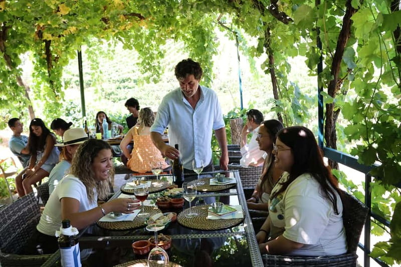 Porto: DOURO VALLEY and AMARANTE City Half-day Tour - Amarante Time: Vinho Verde, Cheese, Ham, and an Easy Stroll