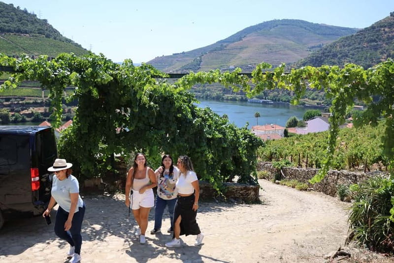 Porto: DOURO VALLEY and AMARANTE City Half-day Tour - Should You Book It?