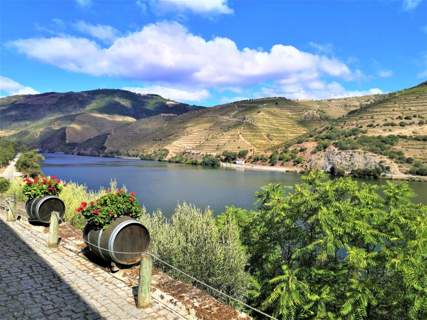 Porto: Douro Valley Private Grand Experience - Private - Price and value: what you’re really paying for at $318 per person