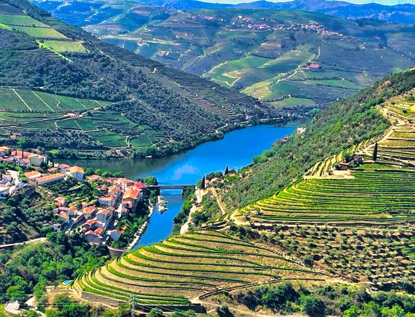 Porto: Douro Valley Private Tour 2 Vineyards & River Cruise - From Porto: How the Private Format Actually Helps You