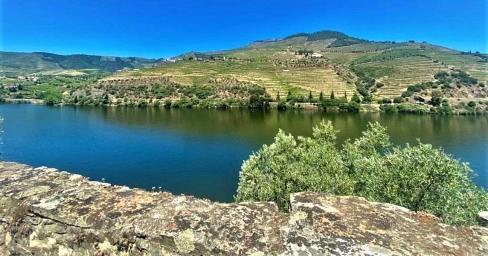 Porto: Douro Valley Private Tour 2 Vineyards & River Cruise - Who This Tour Is Best For
