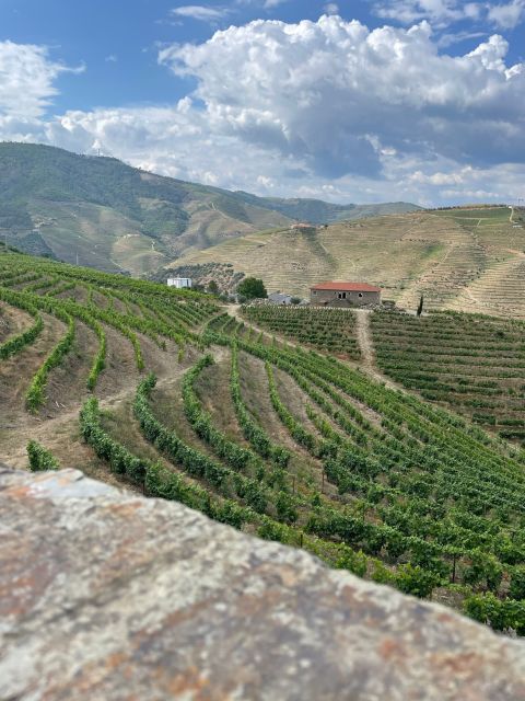 Porto: Douro Valley Private Tour 2 Vineyards & River Cruise - Lunch at a Vineyard: When the Views Come with Your Meal