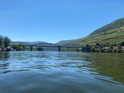 Porto: Douro Valley Private Tour 2 Vineyards & River Cruise - Two Vineyard Stops: Wine, Port, and Olive Oil Tastings