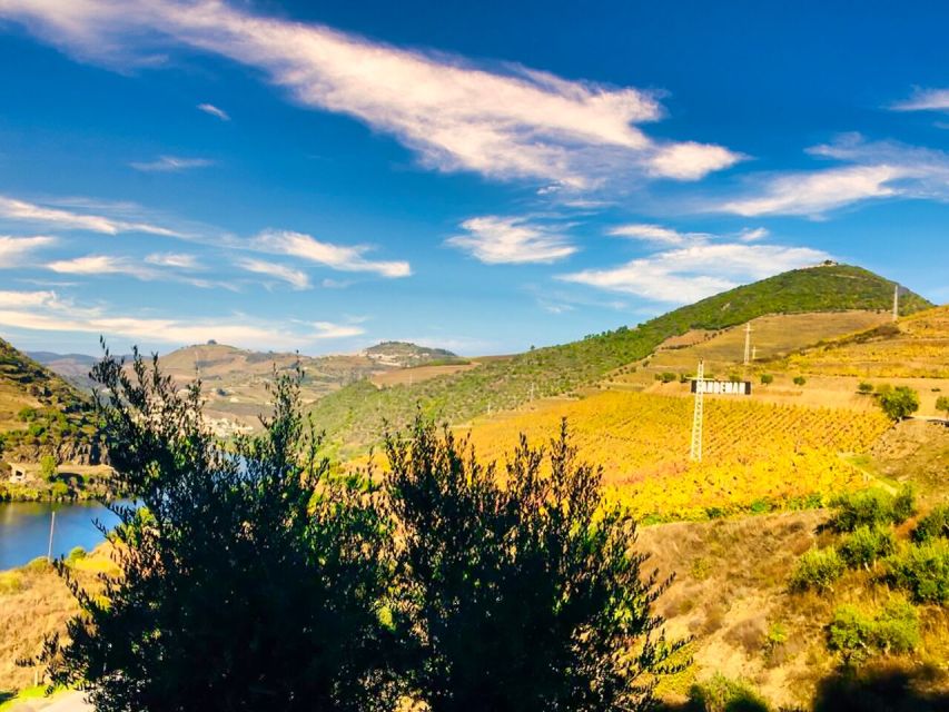 Porto: Douro Valley Private Tour 2 Vineyards & River Cruise - Your Guide: The Human Touch That Makes Tastings Fun
