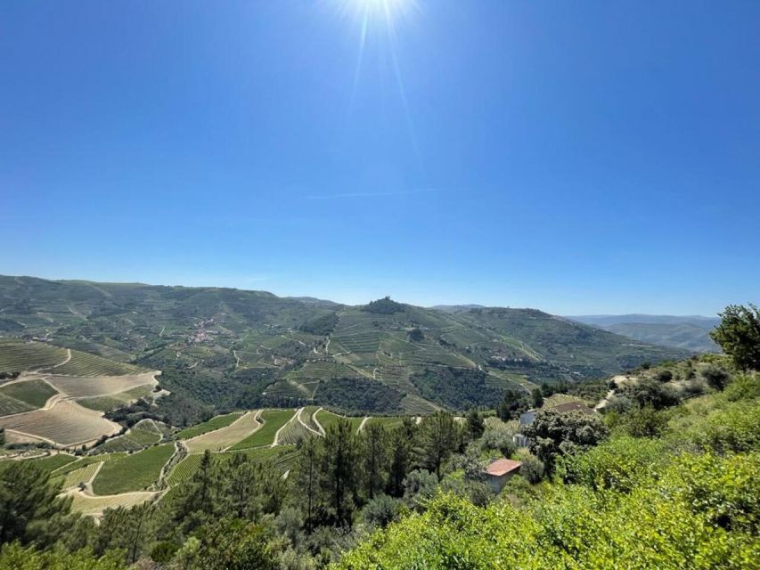 Porto: Douro Valley Private Tour 2 Vineyards & River Cruise - Price and Value: Is $577 Good for a Douro Private Day?