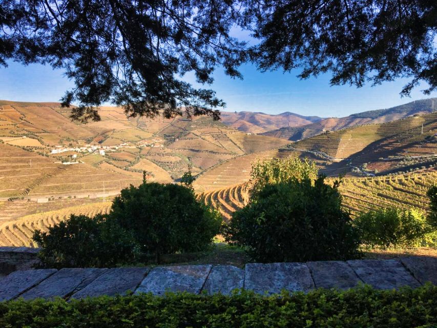 Porto: Douro Valley Private Tour 2 Vineyards & River Cruise - Practical Tips Before You Go (So the Day Feels Easy)