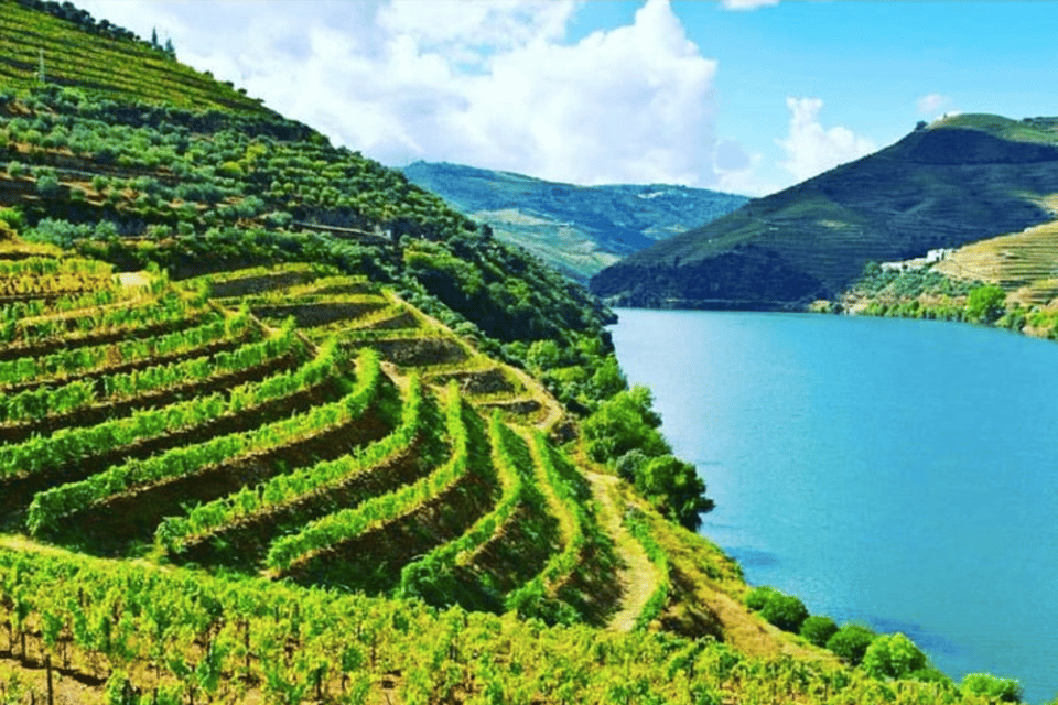 Porto: Douro Valley Tour w/ 3 Tastings, Lunch, & Opt. Cruise - Optional Douro boat cruise (€12.5) vs. a slow stroll in Pinhão