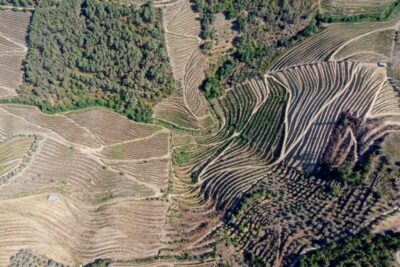Porto: Douro Valley Tour w/ 3 Tastings, Lunch, & Opt. Cruise - Pinhão station tiles and the sweet-salty tasting break