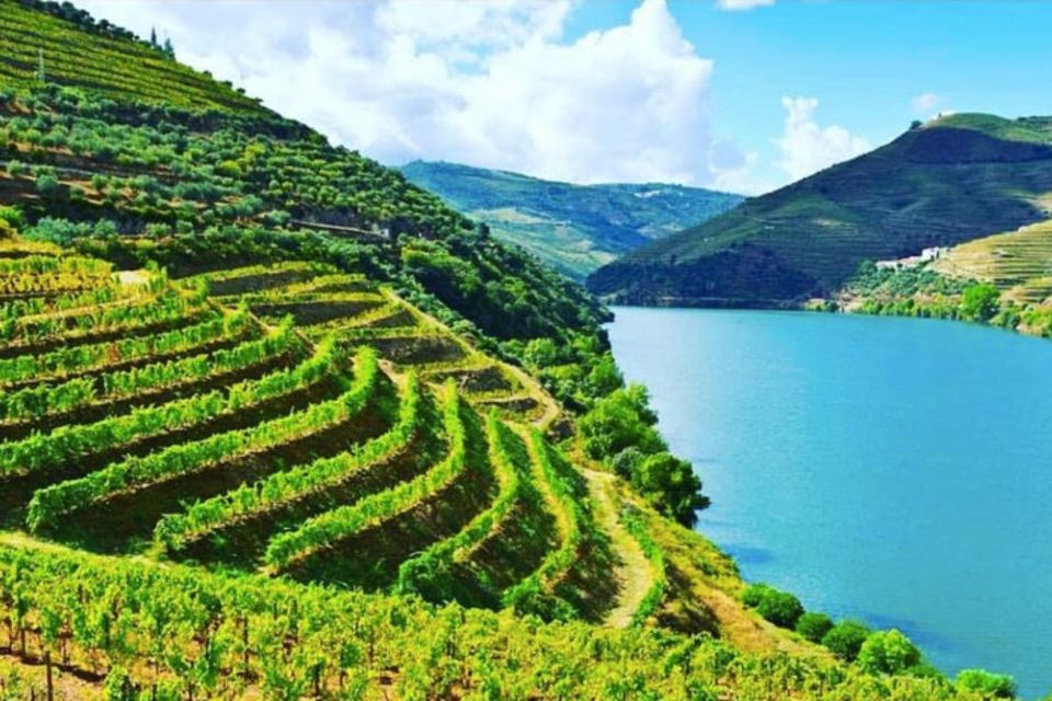 Porto: Douro Valley Tour w/ 3 Tastings, Lunch, & Opt. Cruise - The panoramic High Douro Vineyard drive: the “I get it now” moment