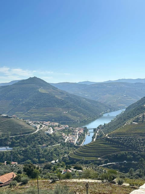 Porto: Douro Valley Tour w/ 3 Tastings, Lunch, & Opt. Cruise - Amarante stop: Verde wines, cheese, and a more local feel