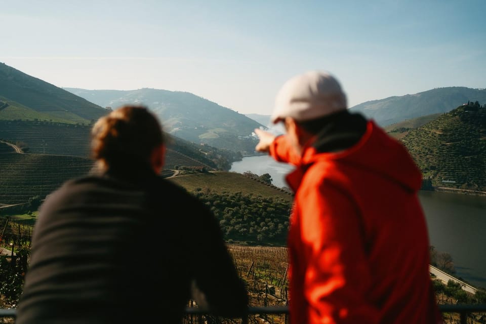 Porto: Douro Valley Tour with 2 Wineries, Lunch and Cruise - Key things to know before you go