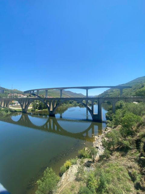 Porto: Douro Valley Tour with 2 Wineries, Lunch and Cruise - Who should book this Douro Valley tour (and who might not)