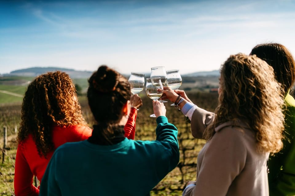 Porto: Douro Valley Tour with 2 Wineries, Lunch and Cruise - Quinta da Avassada: Vineyard walking and tasting the Favaios wine style