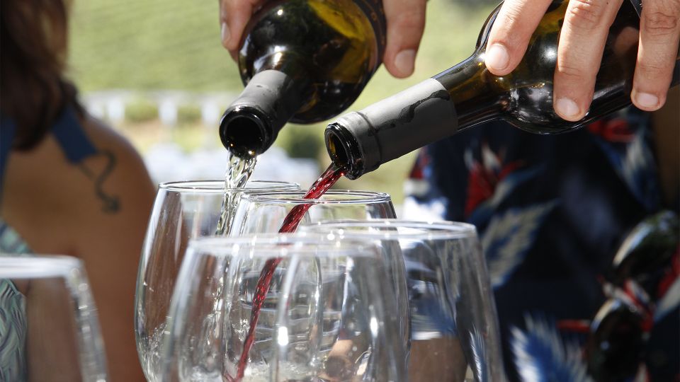 Porto: Douro Valley Tour with 3 vineyards and lunch. - Key things that make this Douro Valley day tour work